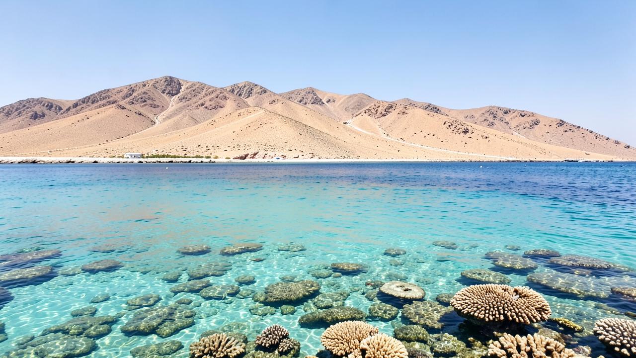 Clear turquoise water over reef on the Egyptian Red Sea coast