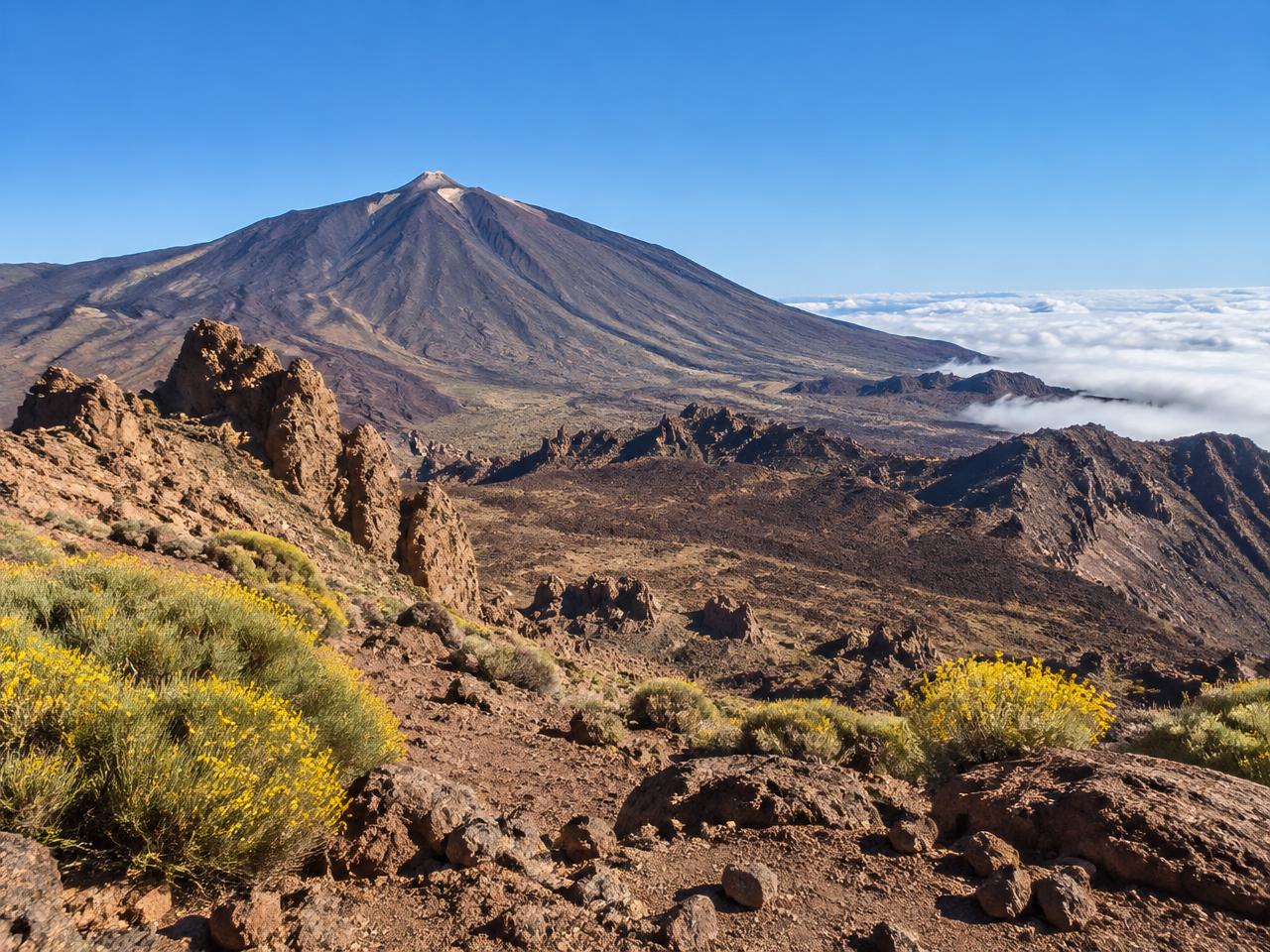 Tenerife & the Canary Islands